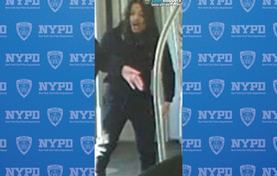 NYPD Seeks Public's Help in Locating Suspect After Knife Attack on Bronx Subway