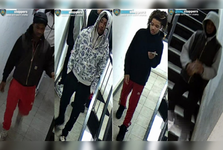 NYPD Seeks Public's Help to Nab Suspects in Recent Bronx Robberies