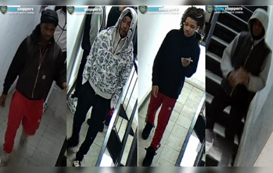 NYPD Seeks Public's Help to Nab Suspects in Recent Bronx Robberies