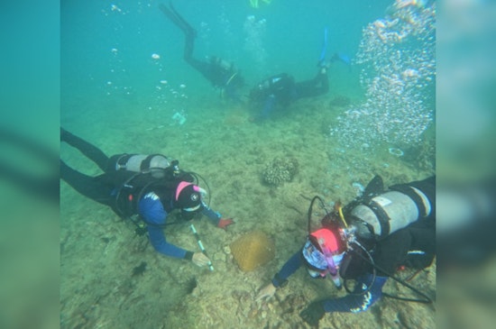 Oʻahu Community Invited to Help Select Coral Reef Restoration Sites