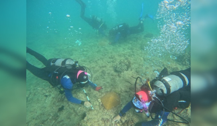 Oʻahu Community Invited to Help Select Coral Reef Restoration Sites