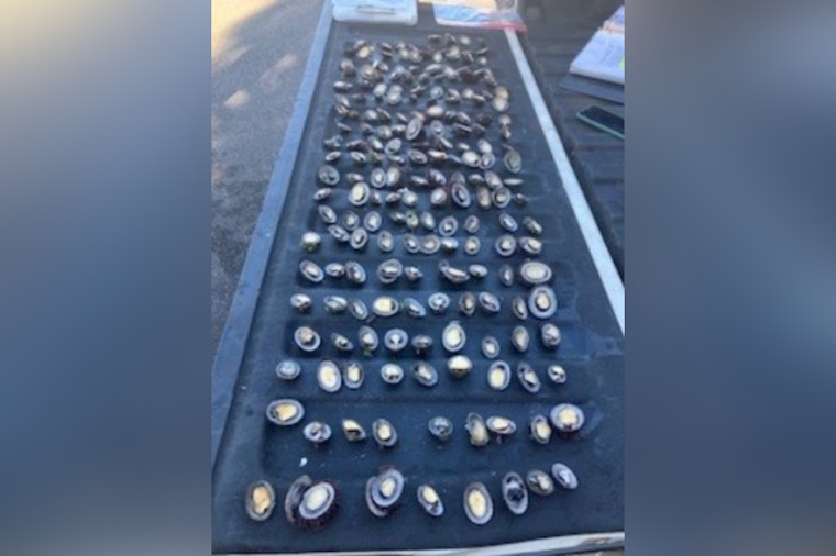 O‘ahu Men Charged with Illegal 'Opihi Harvest in Pūpūkea Marine Conservation District