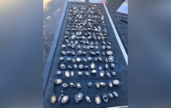 O‘ahu Men Charged with Illegal 'Opihi Harvest in Pūpūkea Marine Conservation District