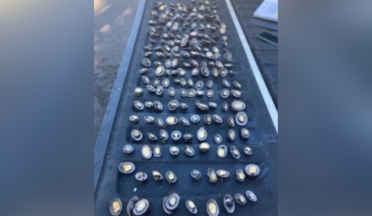 O‘ahu Men Charged with Illegal 'Opihi Harvest in Pūpūkea Marine Conservation District