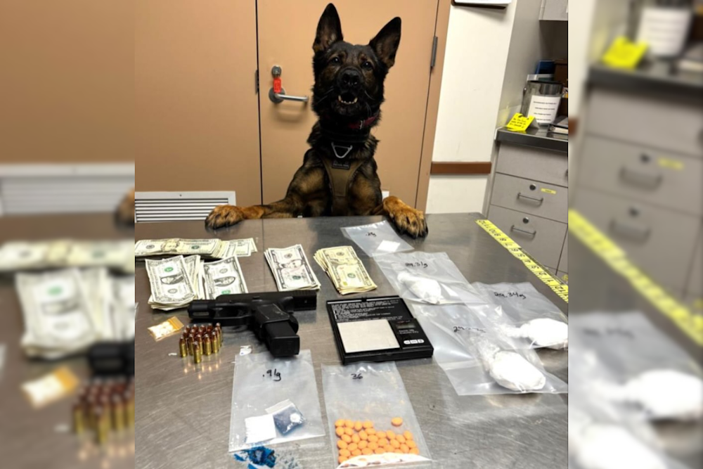Oakland Man with Felon Status Captured with Drugs, Loaded Gun During Livermore Traffic Stop