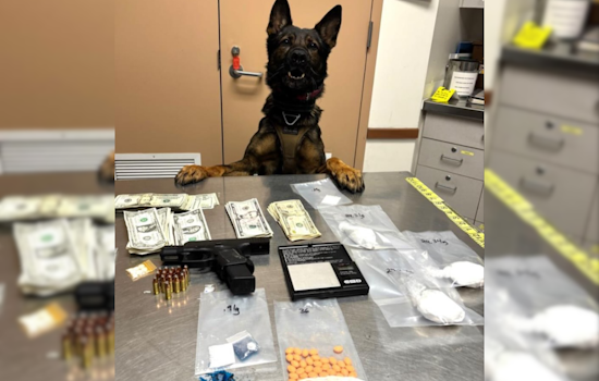 Oakland Man with Felon Status Captured with Drugs, Loaded Gun During Livermore Traffic Stop