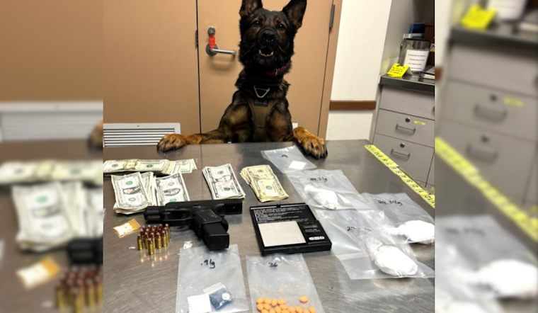 Oakland Man with Felon Status Captured with Drugs, Loaded Gun During Livermore Traffic Stop
