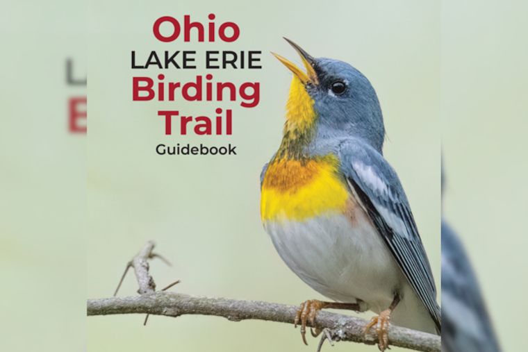 Ohio Launches Updated Lake Erie Birding Trail Guidebook to Boost Ecotourism and Conservation