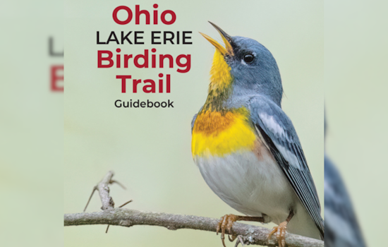 Ohio Launches Updated Lake Erie Birding Trail Guidebook to Boost Ecotourism and Conservation