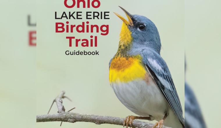 Ohio Launches Updated Lake Erie Birding Trail Guidebook to Boost Ecotourism and Conservation
