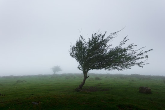 Oklahoma City Braces for Weather Whiplash with Gusty Winds Today and Potential Showers Midweek