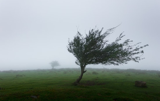 Oklahoma City Braces for Weather Whiplash with Gusty Winds Today and Potential Showers Midweek