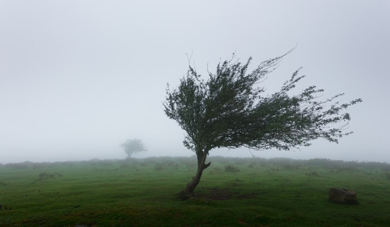 Oklahoma City Braces for Weather Whiplash with Gusty Winds Today and Potential Showers Midweek