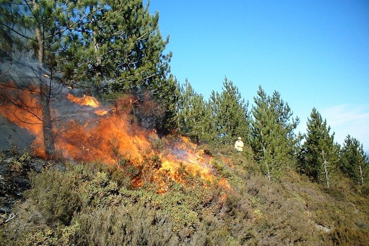 Oklahoma City Under Red Flag Warning as Severe Fire Threats Prompt Urgent Alert and Precautions