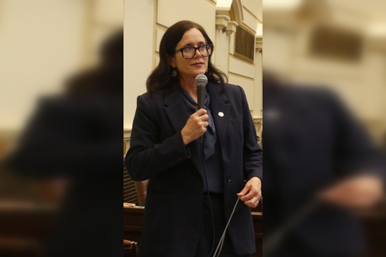 Oklahoma Mental Health System Set for Overhaul After Legal Settlement, Senator Julia Kirt Applauds Changes