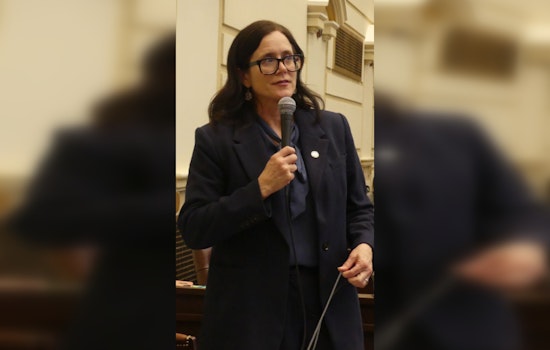Oklahoma Mental Health System Set for Overhaul After Legal Settlement, Senator Julia Kirt Applauds Changes