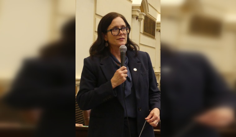 Oklahoma Mental Health System Set for Overhaul After Legal Settlement, Senator Julia Kirt Applauds Changes