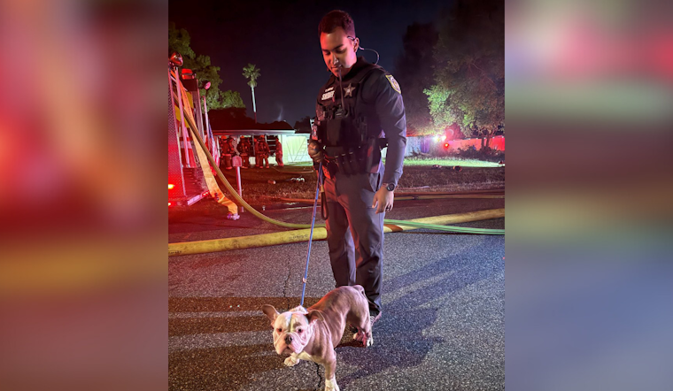 Orange County Sheriff's Deputy Hailed as Hero for Daring Rescue of Dog from House Fire