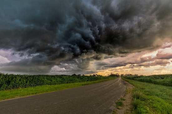 Oregon and Washington Brace for Thunderstorms, Authorities Urge Animal Safety Precautions
