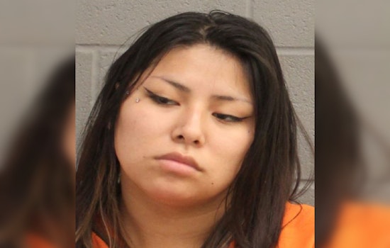 Oriya Karber Arrested for DWI and Interfering with Public Duties in Northwest Freeway Traffic Stop