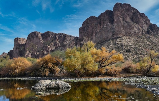 Over 100 Volunteers Remove Six Tons of Trash from Salt River, Phoenix in Community-Led Cleanup Effort