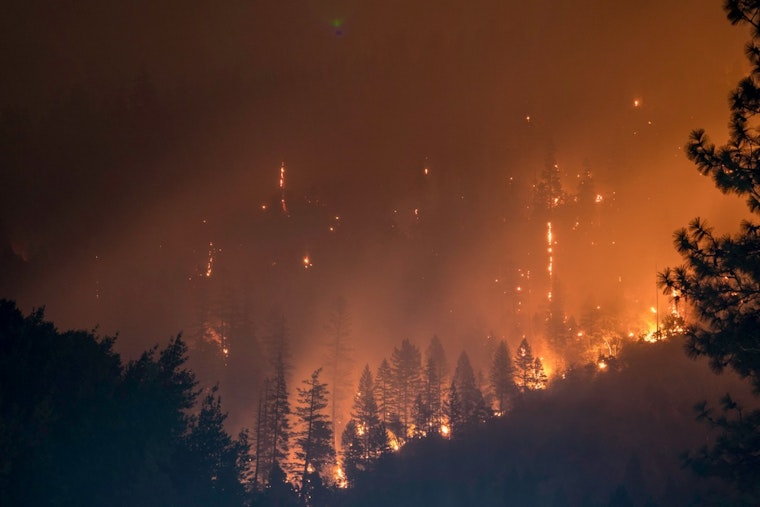 Over 225 Acres of Cherokee National Forest Ablaze in Cocke County