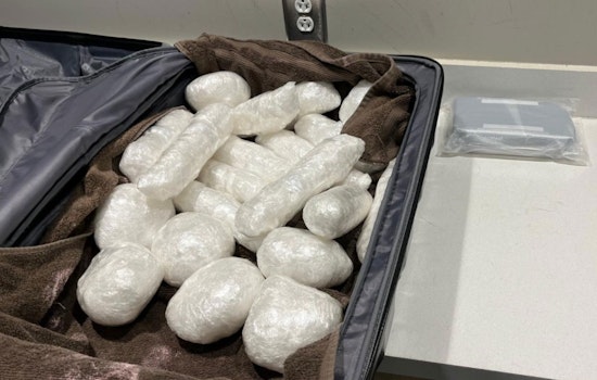 Over 40 Pounds of Meth and Fentanyl Seized at Atlanta Airport, Suspected Drug Mule in Custody