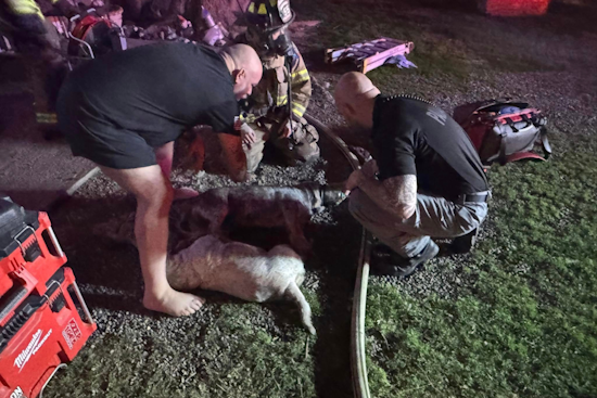 Parker County Emergency Services Rapidly Extinguish Carter Rd House Fire; All Occupants Safe, Dog Rescued