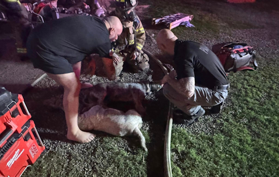 Parker County Emergency Services Rapidly Extinguish Carter Rd House Fire; All Occupants Safe, Dog Rescued