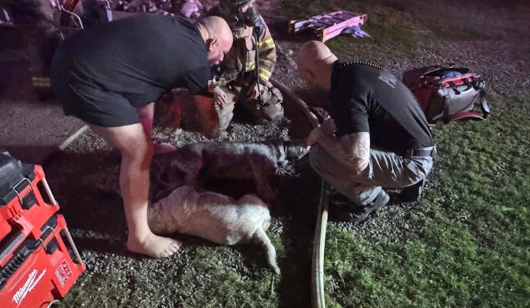 Parker County Emergency Services Rapidly Extinguish Carter Rd House Fire; All Occupants Safe, Dog Rescued