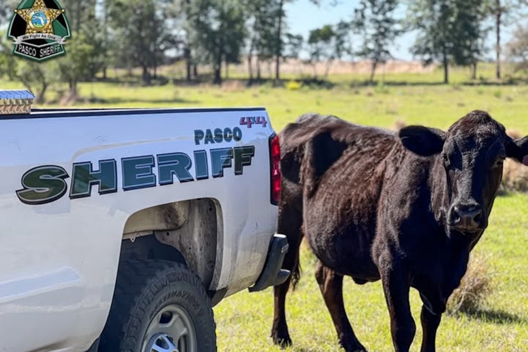 Pasco Sheriff's Office Highlights Specialized Agriculture Unit's Role on National Agriculture Day