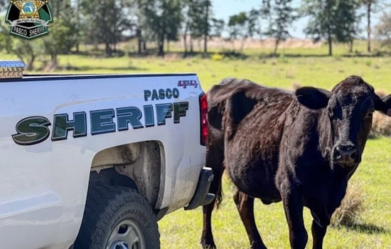 Pasco Sheriff's Office Highlights Specialized Agriculture Unit's Role on National Agriculture Day