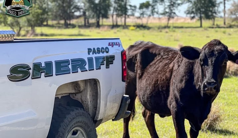 Pasco Sheriff's Office Highlights Specialized Agriculture Unit's Role on National Agriculture Day