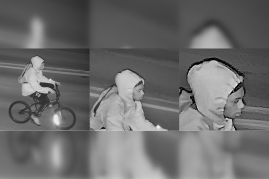 Pasco Sheriff's Office Seeks Help to Identify Suspect in Holiday Burglary Spree