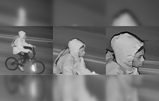Pasco Sheriff's Office Seeks Help to Identify Suspect in Holiday Burglary Spree