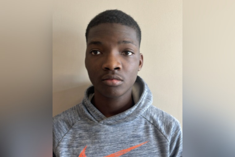 Pasco Sheriff's Office Seeks Public's Help in Locating Missing Teenager Richard Wallace in Holiday Area
