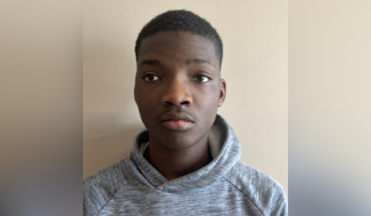 Pasco Sheriff's Office Seeks Public's Help in Locating Missing Teenager Richard Wallace in Holiday Area