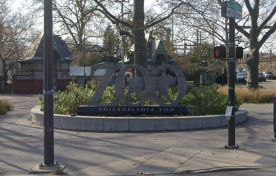 Philadelphia Zoo Unveils "Wildlife Rescue" Exhibit with Climable Endangered Species Sculptures