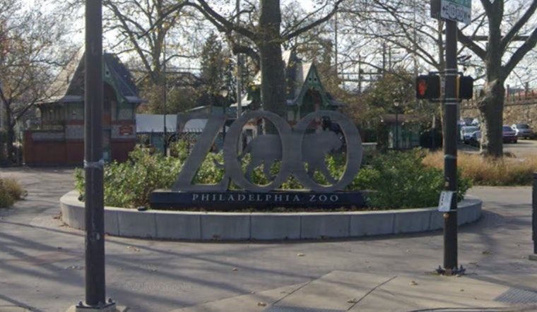 Philadelphia Zoo Unveils "Wildlife Rescue" Exhibit with Climable Endangered Species Sculptures