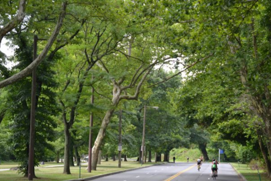 Philadelphia's MLK Drive Goes Car-Free for Weekend Recreation Starting March 29