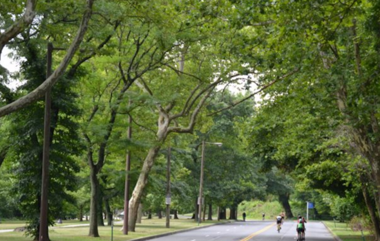 Philadelphia's MLK Drive Goes Car-Free for Weekend Recreation Starting March 29