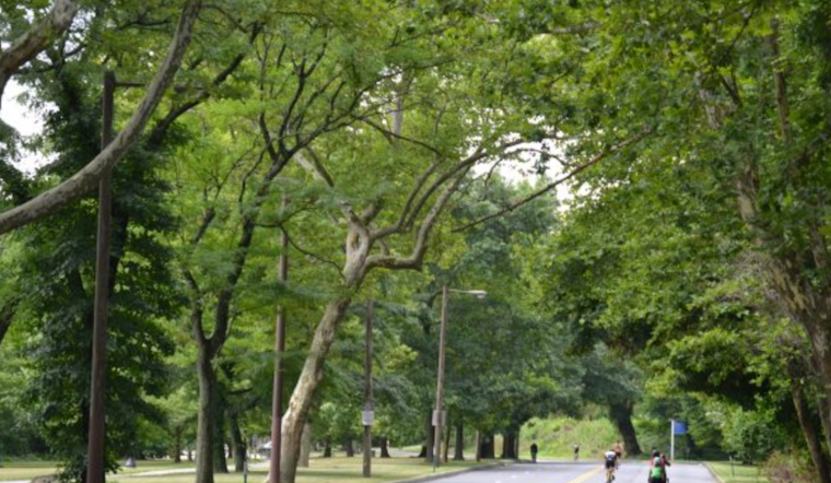 Philadelphia's MLK Drive Goes Car-Free for Weekend Recreation Starting March 29