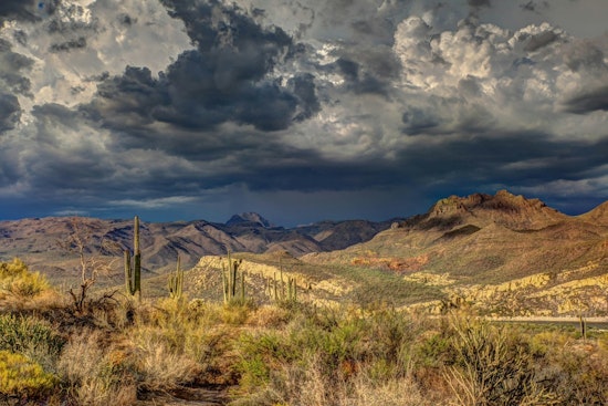 Phoenix Braces for Rain, Thunderstorms, and Breezy Week Ahead