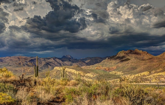 Phoenix Braces for Rain, Thunderstorms, and Breezy Week Ahead