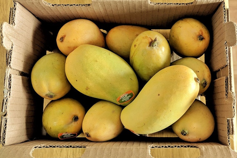 Phoenix Businesses Brace for Impact as New Tariffs on Mexican and Canadian Imports Take Effect