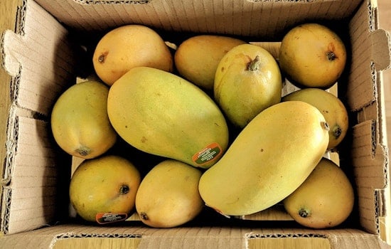 Phoenix Businesses Brace for Impact as New Tariffs on Mexican and Canadian Imports Take Effect