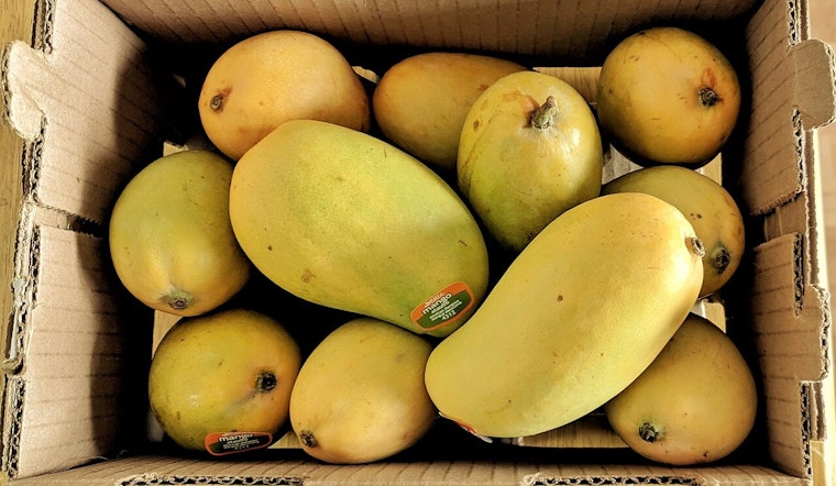 Phoenix Businesses Brace for Impact as New Tariffs on Mexican and Canadian Imports Take Effect