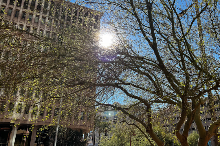 Phoenix Launches Comprehensive 2025 Heat Response Plan, New Measures to Cool the City Amid Stifling Temperatures