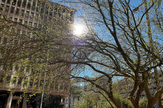 Phoenix Launches Comprehensive 2025 Heat Response Plan, New Measures to Cool the City Amid Stifling Temperatures