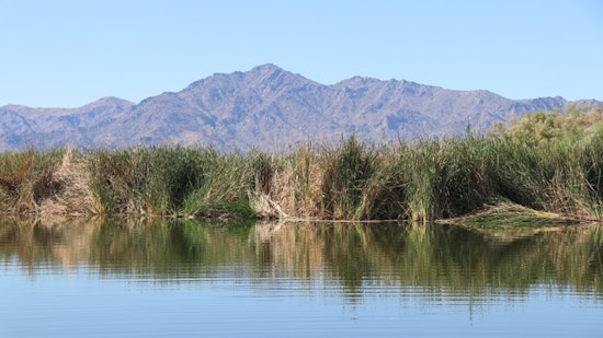 Phoenix Rallies Community for Salt River Clean-Up Effort with Rio Reimagined and Partners
